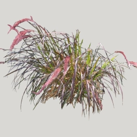 ͼʦģֲģȫ20222246