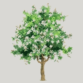 ͼʦģֲģȫ20221867