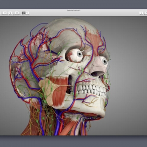 Human Anatomy Atlas 7.4.01 (Mac OS X)