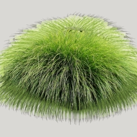 ͼʦģֲģȫ20221872