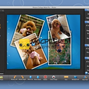 Photo Collage Maker Pro for Mac 3.1.8 图片拼贴制作