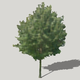 ͼʦģֲģȫ20222409