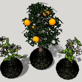 ͼʦSketchupƷģ20221125ϴ059