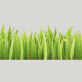 ͼʦģֲTTrees2Dֱģ141