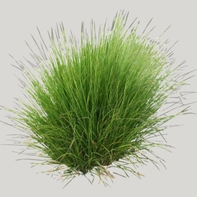 ͼʦģֲģȫ20221036