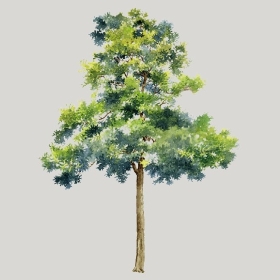 ͼʦģֲģȫ20222507