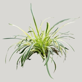 ͼʦģֲģȫ20221840