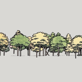 ͼʦģֲTree_Plans_2Dƽ028