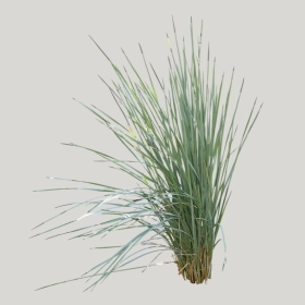 ͼʦģֲģȫ20221003