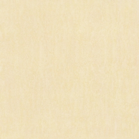 ʯɲ׹שհհPH6022  600X600  PH8122  800X800MM