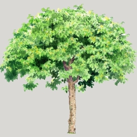 ͼʦģֲģȫ20222654