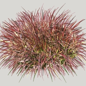 ͼʦģֲģȫ20221726