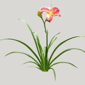 ͼʦģֲģȫ20221020