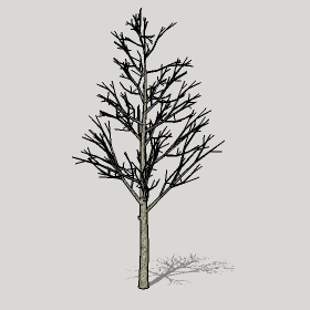 ͼʦģֲģȫ20221188