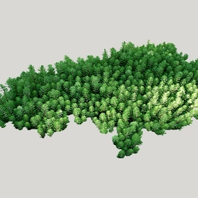 ͼʦģֲģȫ20221529