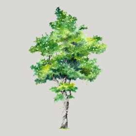 ͼʦģֲģȫ20221918