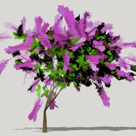 ͼʦģֲģȫ20221237