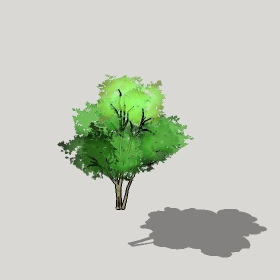 ͼʦģֲģȫ20222445