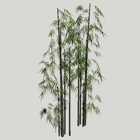 ͼʦģֲģȫ20222674