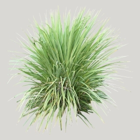 ͼʦģֲģȫ20222000