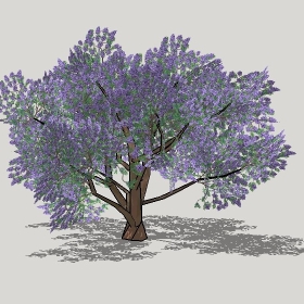 ͼʦģֲģȫ20221279