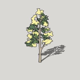 ͼʦģֲģȫ20222611