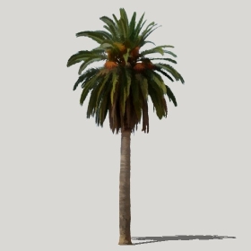 ͼʦģֲģȫ20221256