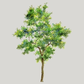 ͼʦģֲģȫ20222639