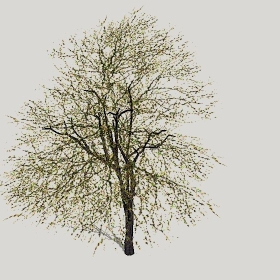 ͼʦģֲģȫ20222344