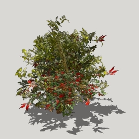 ͼʦģֲģȫ20221273