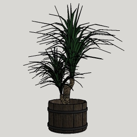 ͼʦģֲģȫ20222443