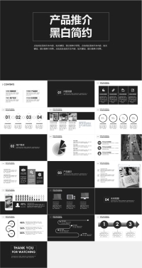 20220121产品推介-黑白简约