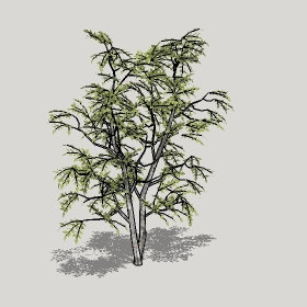 ͼʦģֲģȫ20221219