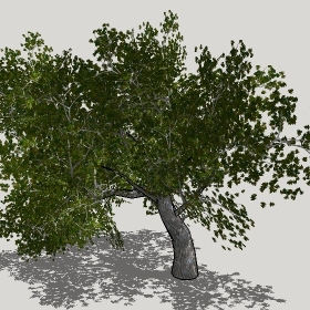 ͼʦģֲģȫ20221272