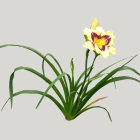 ͼʦģֲģȫ20221014