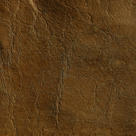 Ƥdesigntnt-textures-leather-2-14