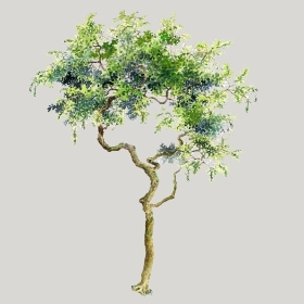 ͼʦģֲģȫ20222637