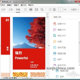 Adobe Acrobat DC 2019.021.20061 Ѱ