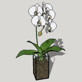 ͼʦSketchupƷģ20221125ϴ017