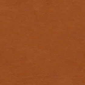 Ƥleath03c
