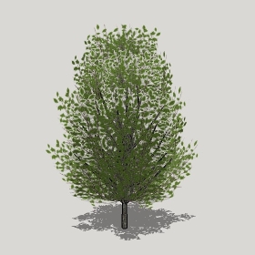 ͼʦģֲģȫ20221283