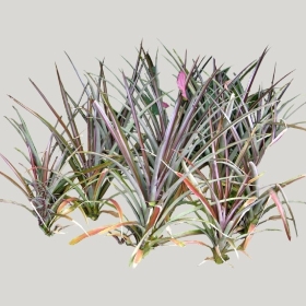 ͼʦģֲģȫ20222169