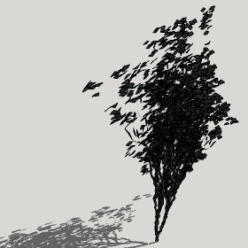 ͼʦģֲģȫ20221719