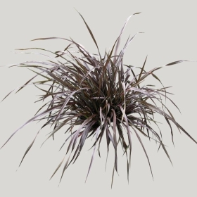 ͼʦģֲģȫ20221998