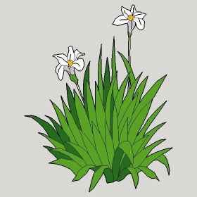 ͼʦģֲģȫ20222630