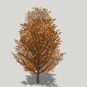 ͼʦģֲģȫ20221284