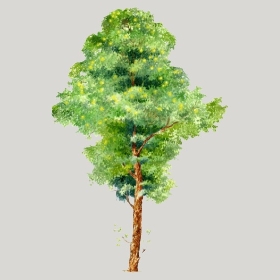 ͼʦģֲģȫ20222505