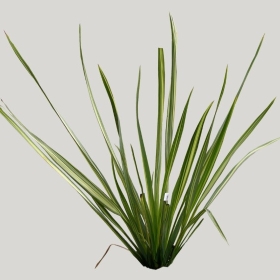 ͼʦģֲģȫ20221986