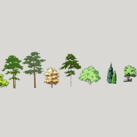 ͼʦģֲģȫ20222610