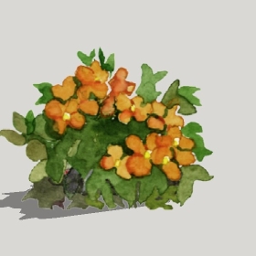 ͼʦģֲTTrees2Dֱģ184